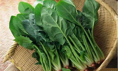 线上菠菜入口(线上菠菜技巧)