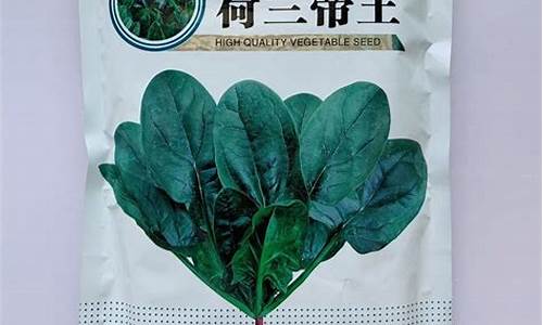 体育菠菜大平台：菠菜公司排名(菠菜公司是什么公司)
