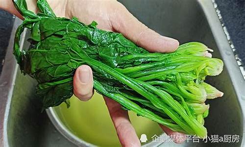 菠菜注册(菠菜注册送导航)
