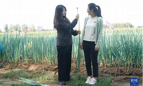 线上注册菠菜网：2024菠菜论坛(最火菠菜论坛送彩金)