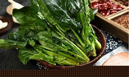 菠菜大全(菠菜大全最新)
