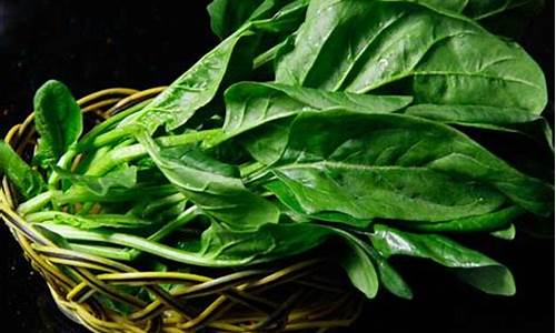 菠菜联盟：菠菜信息大全(知名菠菜网)