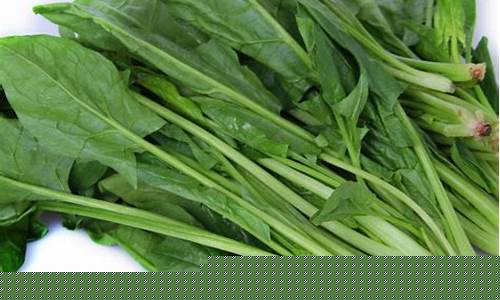 菠菜公司广告：菠菜信息大全(最全菠菜网大全)